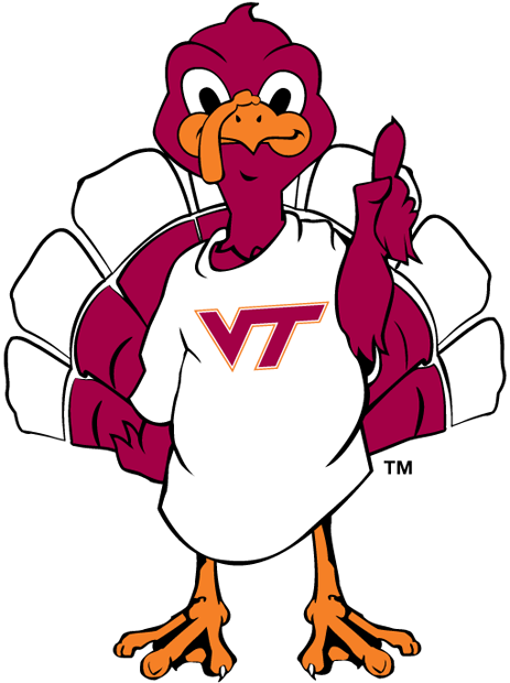 Virginia Tech Hokies 2000-Pres Mascot Logo v3 iron on transfers for T-shirts